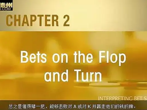 德州扑克视频教程(十八)通过下注数额了解对手牌力_标清