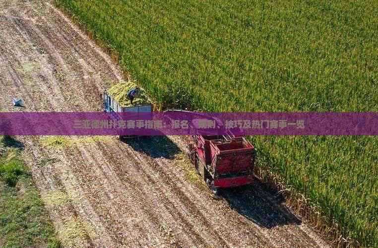 三亚德州扑克赛事指南：报名、规则、技巧及热门赛事一览